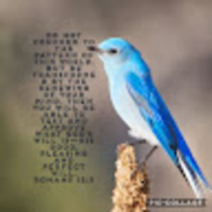 Meet your Posher, Mia